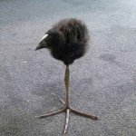 29728f861032654f718dcfb9428e2757.jpg 29728f861032654f718dcfb9428e2757.jpg