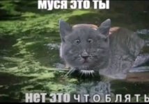 Screenshot_2026-02-25-18-15-09-384_com.zhiliaoapp.musically-edit.jpg Screenshot_2026-02-25-18-15-09-384_com.zhiliaoapp.musically-edit.jpg