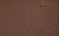 A1D302B8-B9C7-4077-9641-A2B179FE179C.jpg A1D302B8-B9C7-4077-9641-A2B179FE179C.jpg