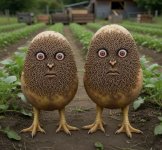 38F17368-B0D6-4F48-A8D3-EC21C2C6DC72.jpg 38F17368-B0D6-4F48-A8D3-EC21C2C6DC72.jpg