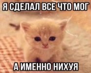 Без названия (7).jpg