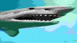 1778390781478.png