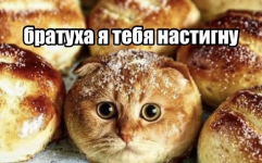 1778686899260.png 1778686899260.png