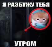 1778687101607.png