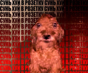 1778737707348.png 1778737707348.png