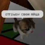 8414801ecb69cf739ea736a7adce4b14.png 8414801ecb69cf739ea736a7adce4b14.png
