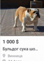 1778741029900.png