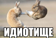1778746005680.png 1778746005680.png