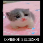 1778776885639.png 1778776885639.png
