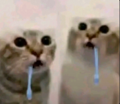 1778852399920.png 1778852399920.png