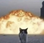 1778858053542.png