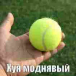 1778927594490.png