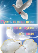 1778993258896.png