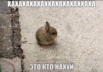 29423.jpg