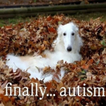 1779002830427.png