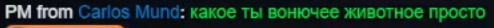 36516.png
