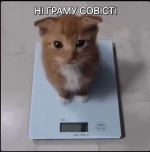1779005477694.png