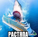 1779128593191.png