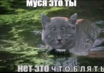 1779516130877.png 1779516130877.png