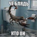 1779607527510.png 1779607527510.png