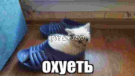 1779631149352.png