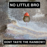 1779813799516.png 1779813799516.png