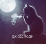 IMG_2923.jpeg