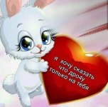 IMG_2974.jpeg