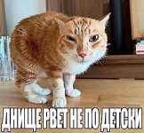 IMG_4582.jpeg