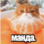 1780659248229.png