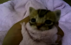 1780668379304.png