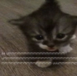 1780725143193.png