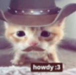 1780734917309.png