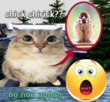 1781370121032.png