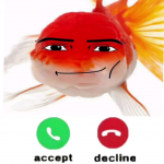 1781841172041.png