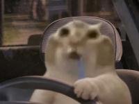 1782209773271.png