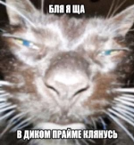 1782299094627.png