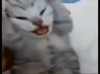 1782427690858.png 1782427690858.png