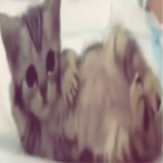 1782492265757.png