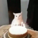 1783008857213.png