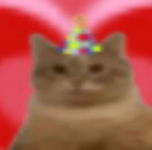 1783069329220.png
