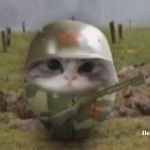 1784635358689.png