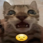 1784726468637.png