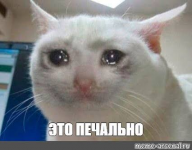 1785006183622.png