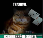 1786032125179.png