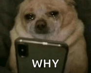1786041000046.png