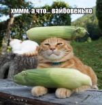 1786978112967.png 1786978112967.png