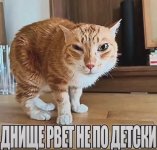 Screenshot_20260414_140454_TikTok.jpg