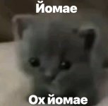 IMG_5937.jpeg