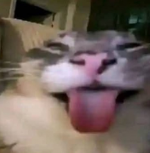 1790482798298.png